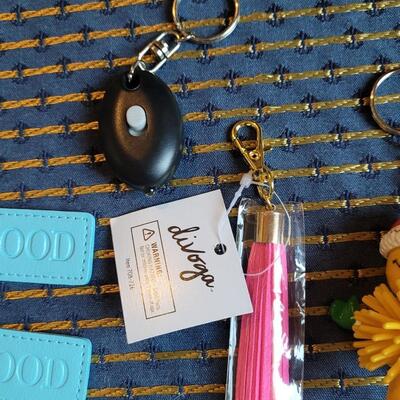 Lot 275: Keychain Lot
