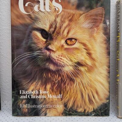 Lot 299: (3) Assorted Cat Hardback Books 