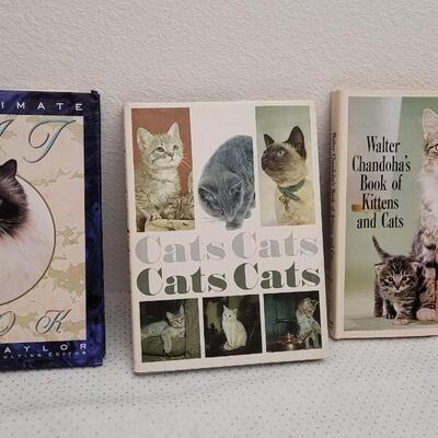 Lot 300: (3) Assorted Cat Hardback Books