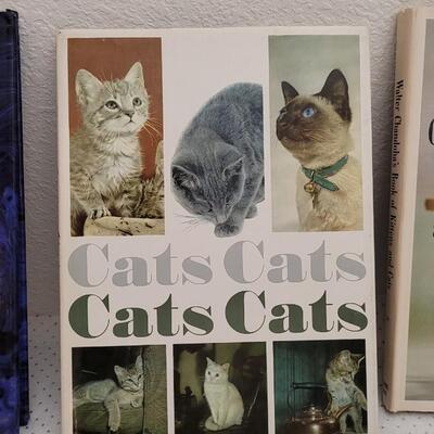 Lot 300: (3) Assorted Cat Hardback Books