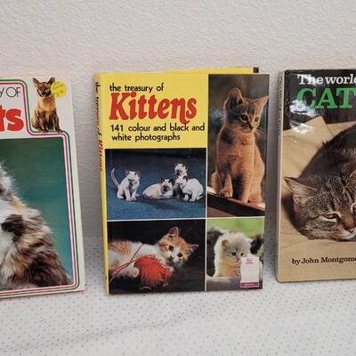 Lot 301: (3) Assorted Cat Hardback Books