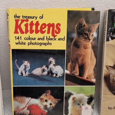 Lot 301: (3) Assorted Cat Hardback Books