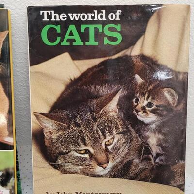 Lot 301: (3) Assorted Cat Hardback Books