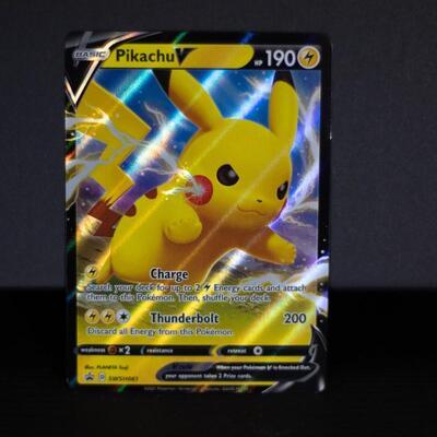Pikachu Pokemon V