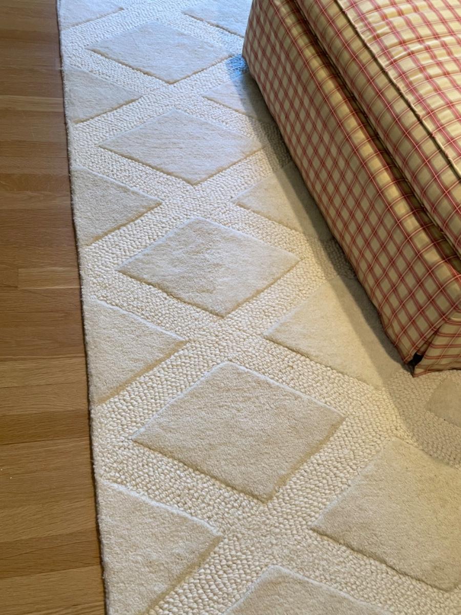 Pottery Barn rug 5 x 8