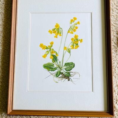 Lot 467  Decorative Botanical Prints Yellow Flowers 