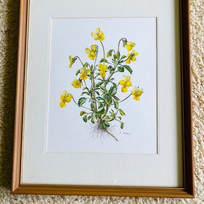 Lot 467  Decorative Botanical Prints Yellow Flowers 