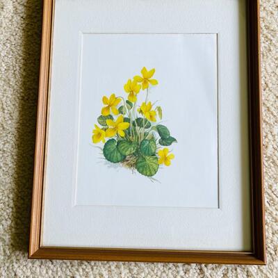 Lot 467  Decorative Botanical Prints Yellow Flowers 