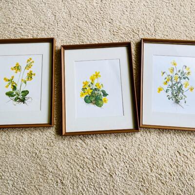 Lot 467  Decorative Botanical Prints Yellow Flowers 