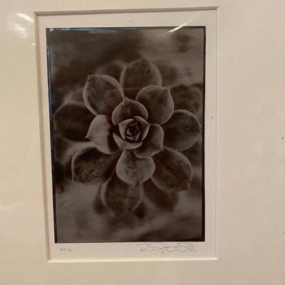 Pair of Black & White Nature Photography Art Photos