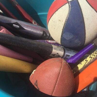 Mixed sports equipment lot with bats, balls and gloves