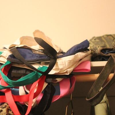 Lot 152 Entire Contents of Master Closet Clothing Purses Shoes