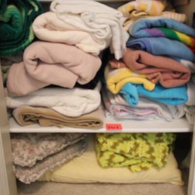 Lot 161 Linen Closet - Blankets