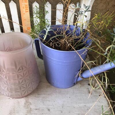 Lot of watering cans and vases