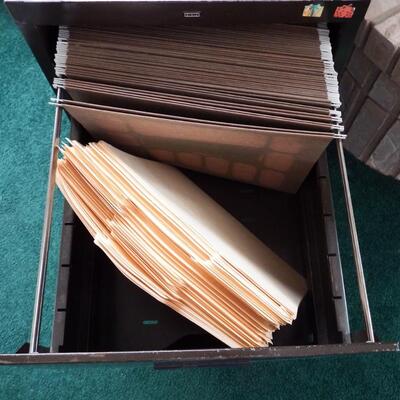 Dark Brown File Cabinet with file folders