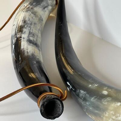 Beautiful Bull Horns on Leather Cords