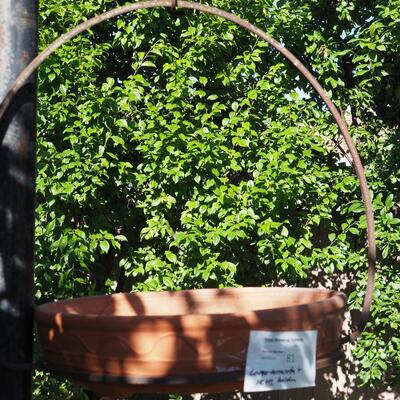 Lot 81 Rustic iron hanger and large terracotta low planter pot