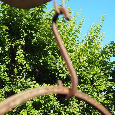 Lot 81 Rustic iron hanger and large terracotta low planter pot