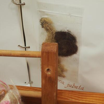 lot 83 wool and weaving