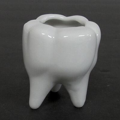Funny Small Tooth Shaped Toothpick Holder