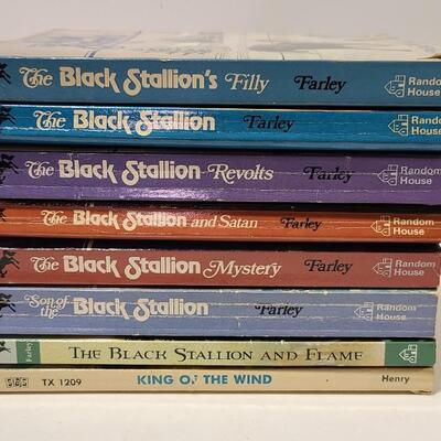 9 Black Stallion+King of the Wind Books -Item #87