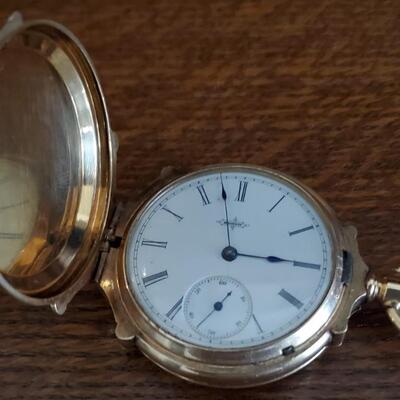 Elgin Pocket Watch    Roman Numeral    Flowers and Nest on the Case 
