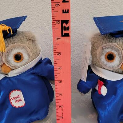 Lot 80: (2) Hallmark Graduation Owls