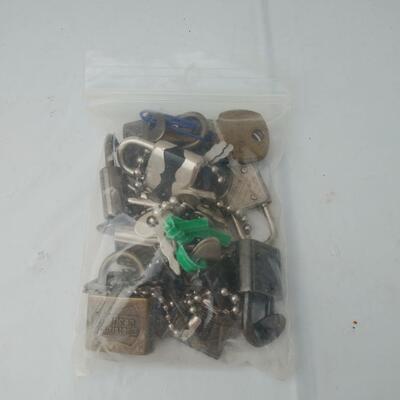 Luggage lock lot