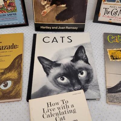 Lot 211: Assorted Cat Theme Books 