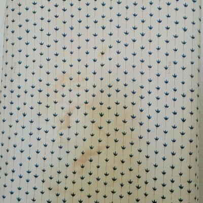Lot 233: Ironing Board