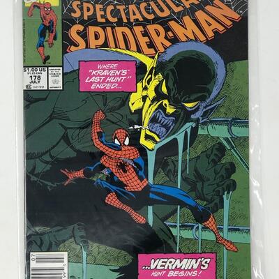 MARVEL, MARVEL SPECTACULAR SPIDER MAN 178 