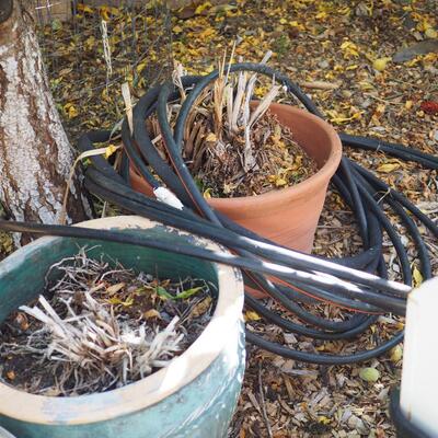 Lot 97 Sky Dragon sculpture, Can, planters, table