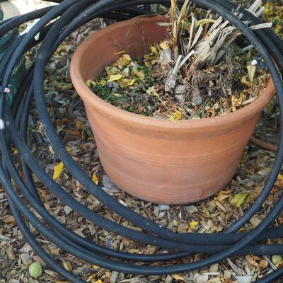 Lot 97 Sky Dragon sculpture, Can, planters, table