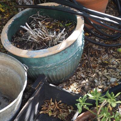 Lot 97 Sky Dragon sculpture, Can, planters, table