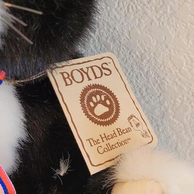 Lot 53: (2) Boyd's Cats