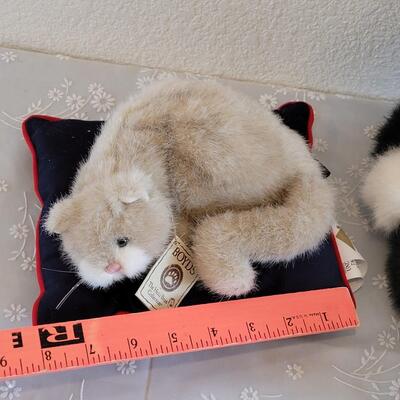 Lot 53: (2) Boyd's Cats