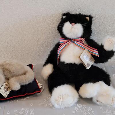 Lot 53: (2) Boyd's Cats