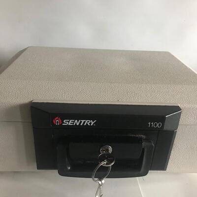 Lot 56:  Sentry Safe and More