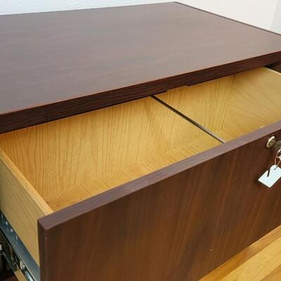 Lot 229: Vintage Solid Wood Office Storage File Cabinet  29.5" x 30.5" x 20"