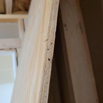 Lot 246: Large Piece of Wood 8ft x 32" 