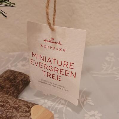 Lot 265: New Hallmark Glass Tree with Ornaments & Miniature Evergreen Tree