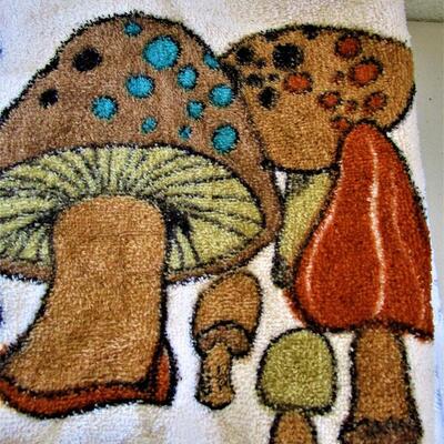 #24 (5) Dishtowels