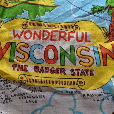 Vintage Silk Wisconsin Scarf