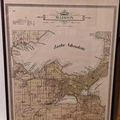 Antique Dane county map