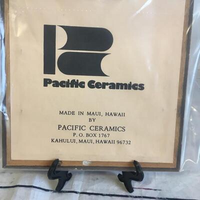 Pacific Ceramic Vintage Hawaii map