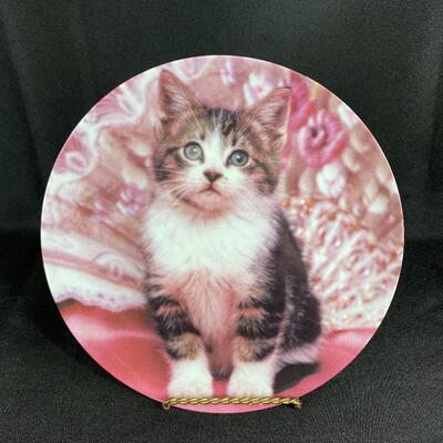 Adorable Kitten Collector Plate 
