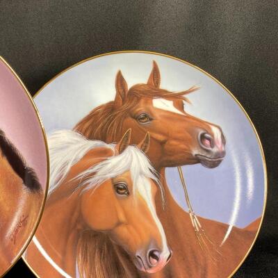 Set of 5 A Heritage of Horses Collector Plates The Danbury Mint 