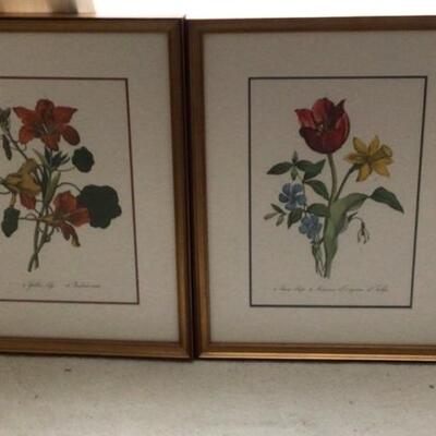 B478 Set of 4 Framed and Matted Botanical Prints 