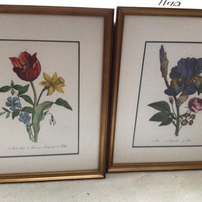 B478 Set of 4 Framed and Matted Botanical Prints 