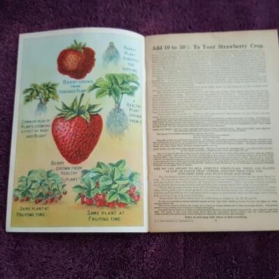 Vintage Continental Plant Catalog